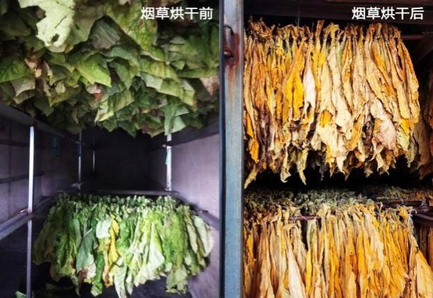 Effect of Kcalin air-source heat pump dryer