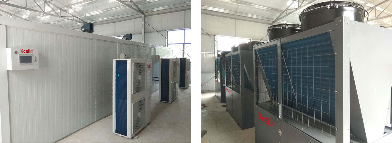 Henan Ruyang Chrysanthemum Drying Project