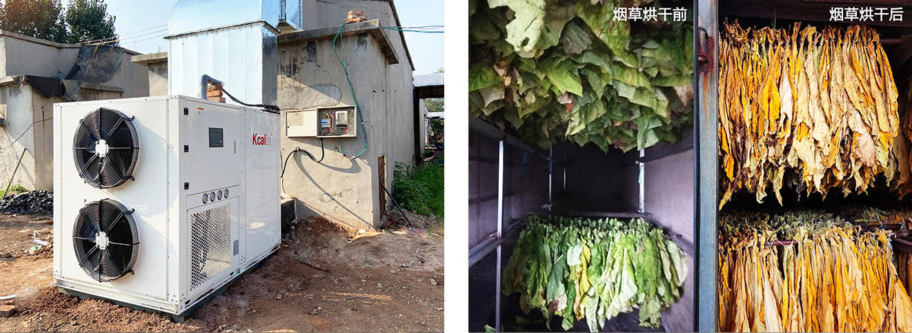 Shandong Anqiu Tobacco Drying Project